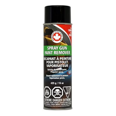 10065 SPRAY GUN PAINT REMOVER 425g